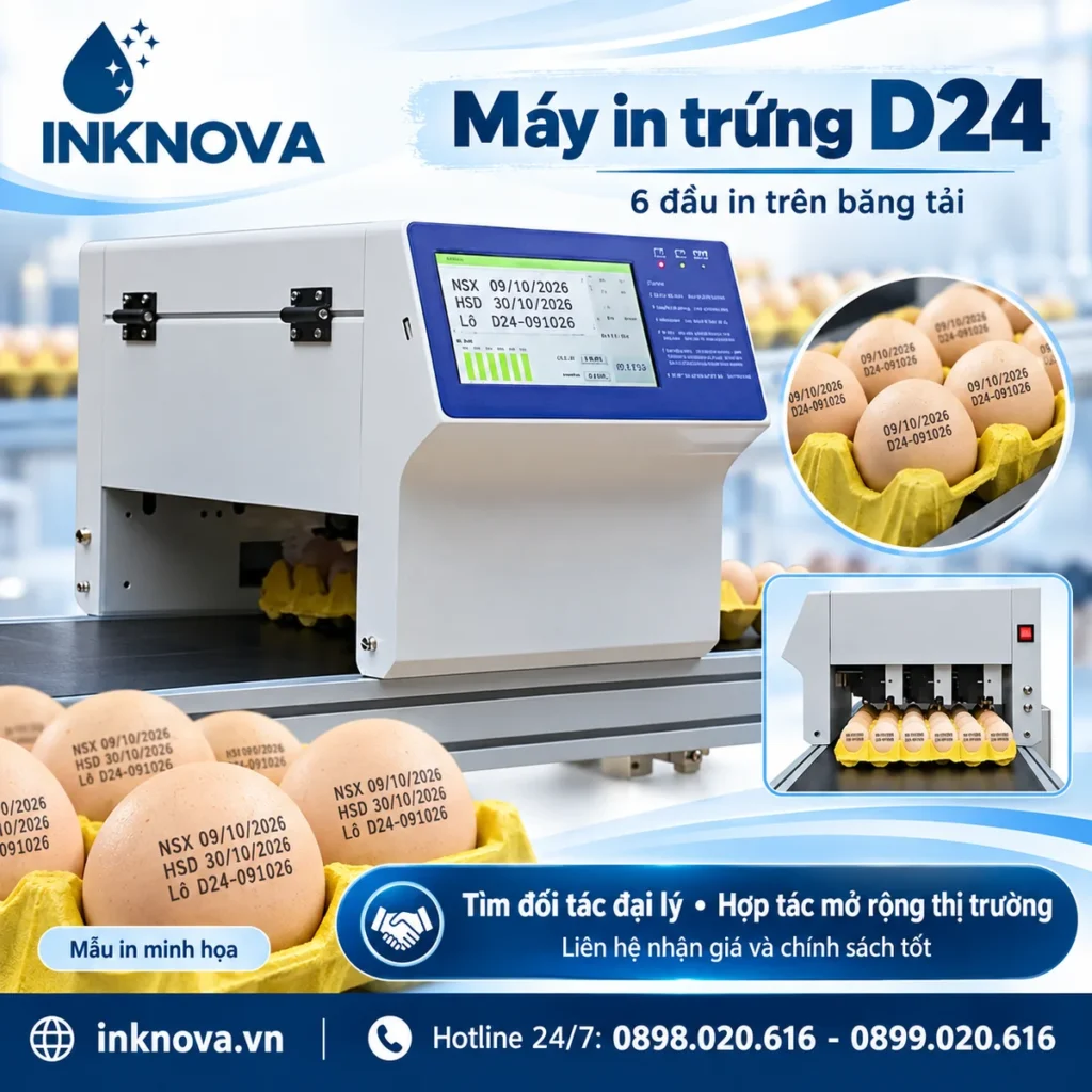 Ảnh đại diện máy in phun trứng 6 đầu in trên băng tải D24 INKNOVA