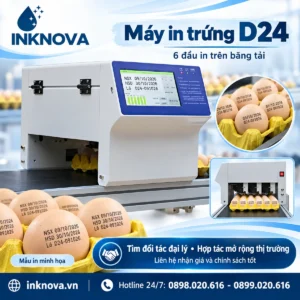 Ảnh đại diện máy in phun trứng 6 đầu in trên băng tải D24 INKNOVA